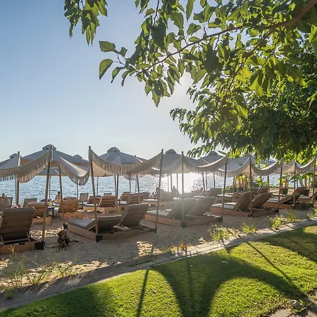 Zoe Seaside Hotel 4*