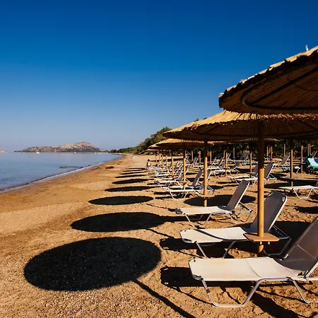 Zoe Seaside Hotel 4*